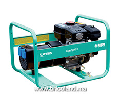 Groupe électrogène essence 3 kVA Expert 3010 X - WORMS-thumbnail