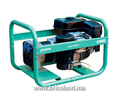Groupe électrogène essence 5 kVA Expert 5010 X - WORMS-thumbnail