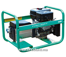 Groupe électrogène essence 6.5 kVA Expert 6510 X - WORMS-thumbnail