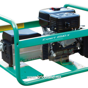 Groupe électrogène essence 6.5 kVA Expert 6510 X - WORMS-0