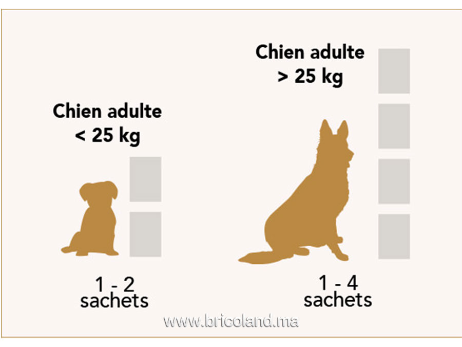 Sachet de Topper au poulet pour chien - UltraPremium -15439