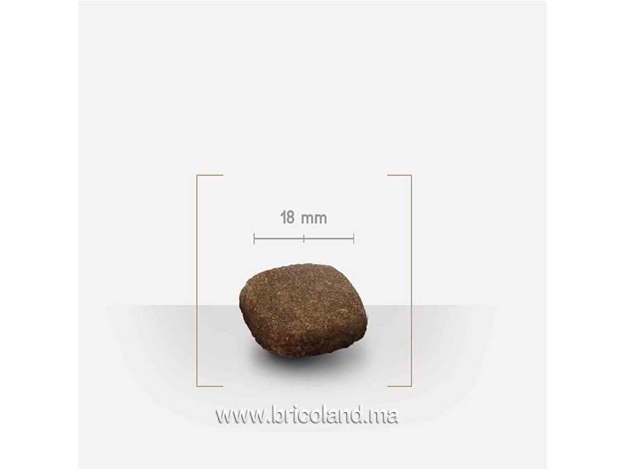 Croquettes pour Chien adulte Actif toutes tailles 12Kg - UltraPremium-16048