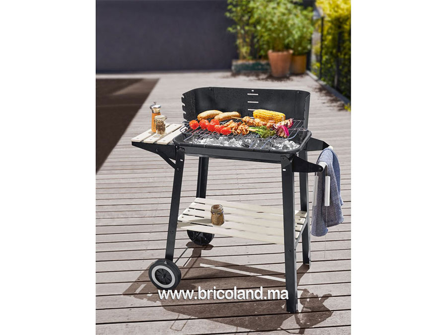 Barbecue à charbon rectangulaire 54cm - BBQ-15868