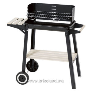 Barbecue à charbon rectangulaire 54cm - BBQ-0