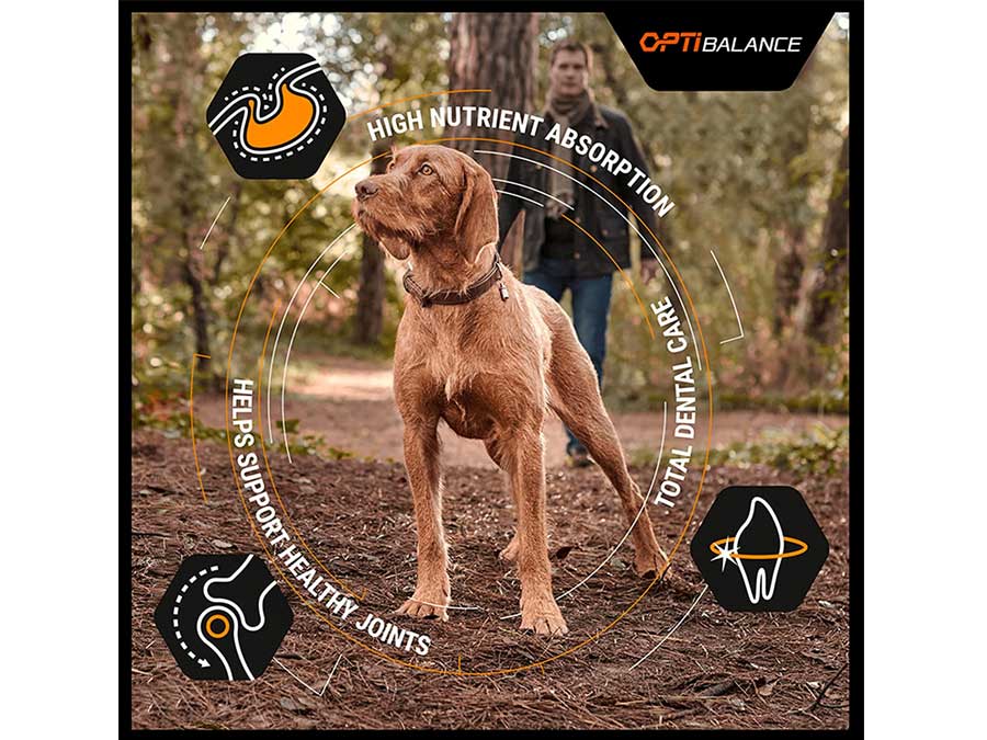 Croquettes pour chien Robust adulte Taille Large - Poulet - 14kg - PRO PLAN-16419
