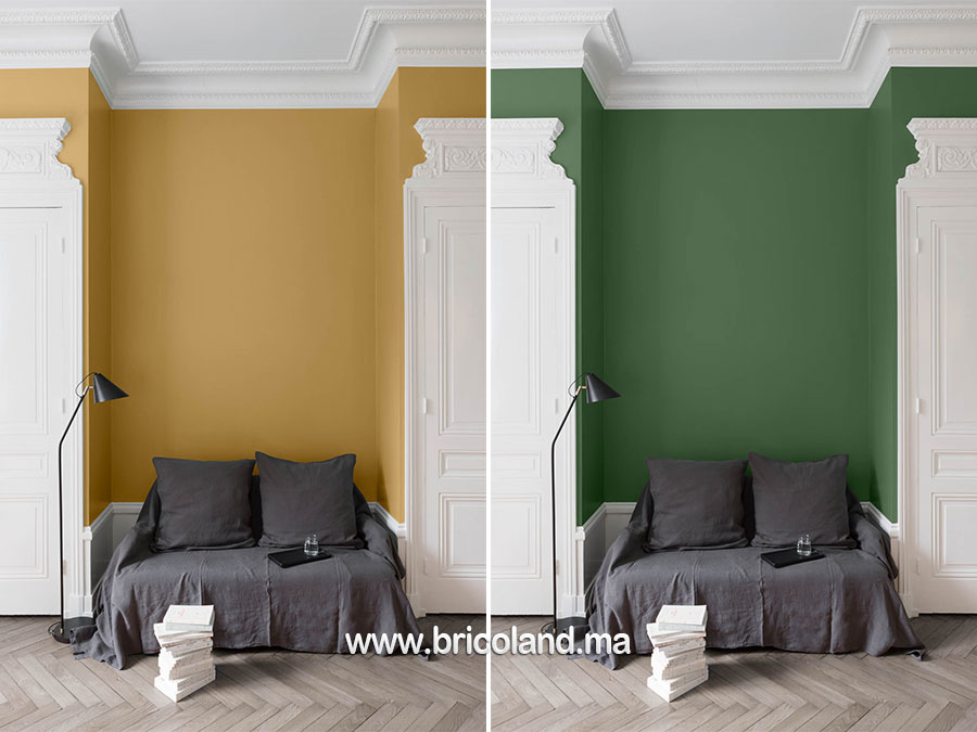 Peinture effet Velours 0.5L - Libéron-16474