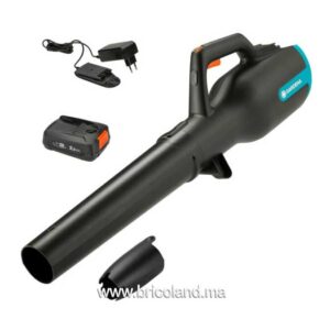 Souffleur pour jardin à batterie 18V PowerJet P4A - Gardena-0