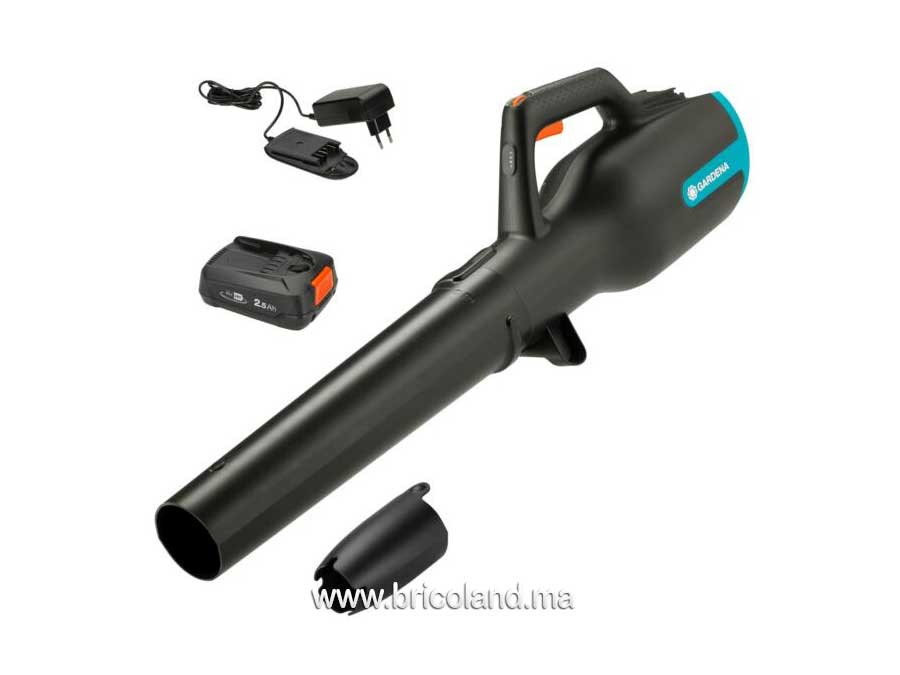 Souffleur pour jardin à batterie 18V PowerJet P4A - Gardena-0
