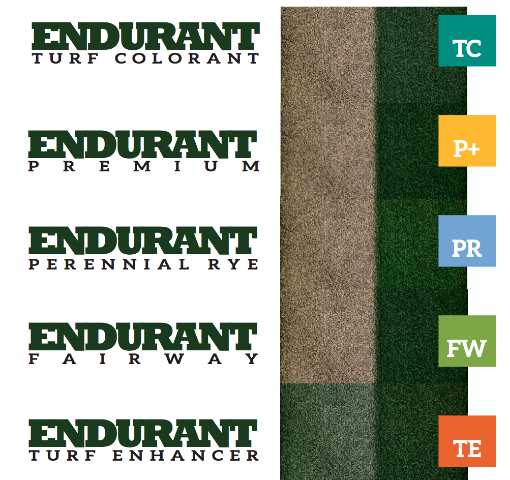 Peinture organique pour gazon naturel ENDURANT FAIRWAY-17341