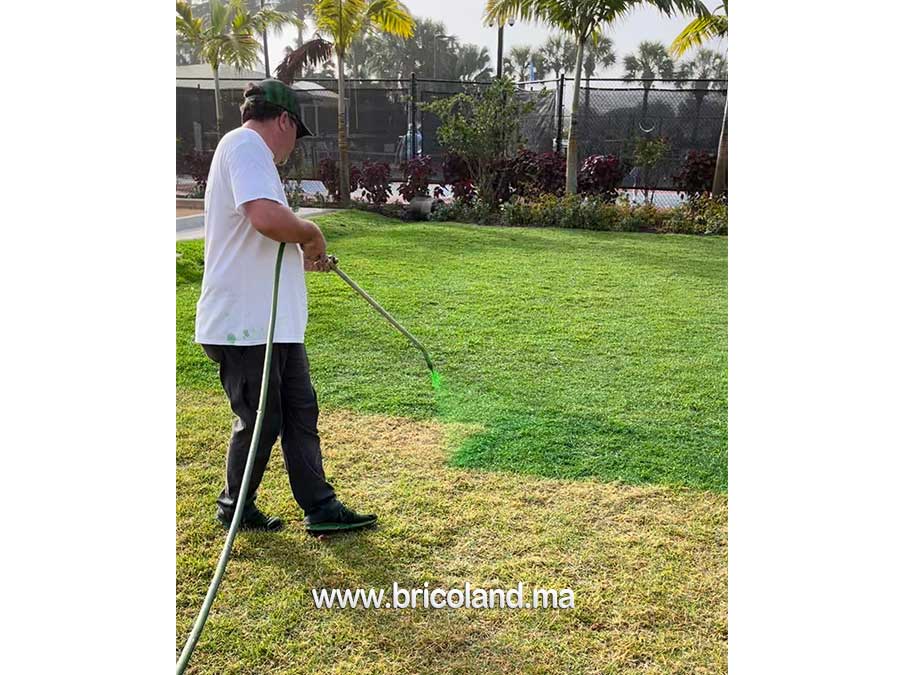 Peinture organique pour gazon naturel ENDURANT FAIRWAY-17339