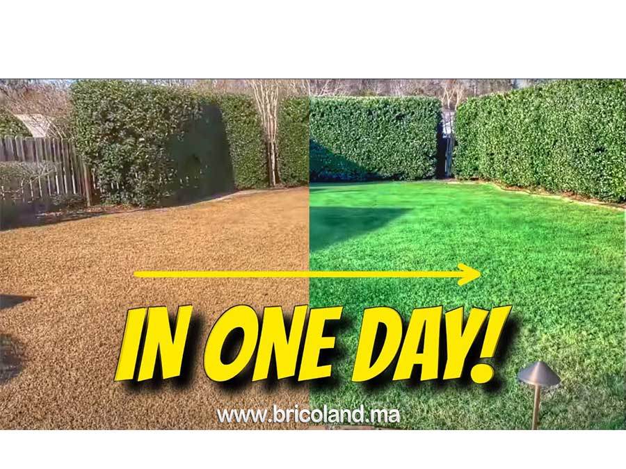 Peinture organique pour gazon naturel ENDURANT FAIRWAY-17342
