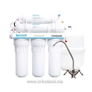 Osmoseur domestique 5 étapes - Ecosoft-0
