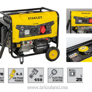 Groupe électrogène essence monophasé SG6500B-1 6,0 kW avec carte AVR - STANLEY-0