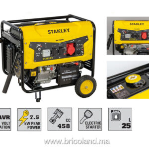 Groupe électrogène essence monophasé SG7500B-1 7,0 kW avec carte AVR - STANLEY-0