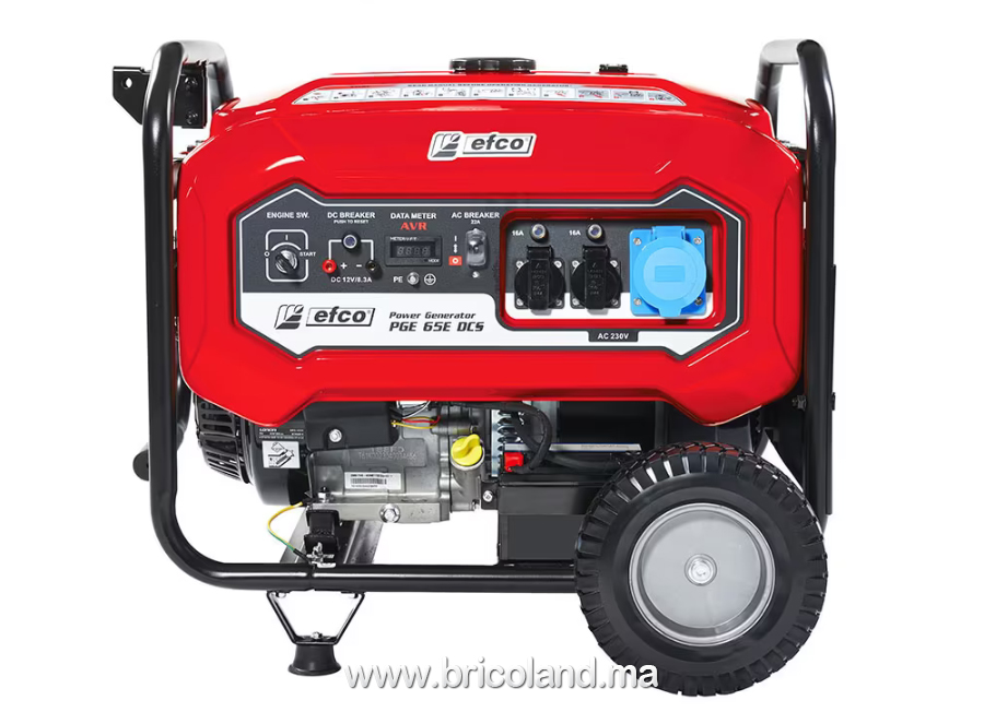 Groupe électrogène essence 5,5 kW PGE 65E DCS - EFCO-18106