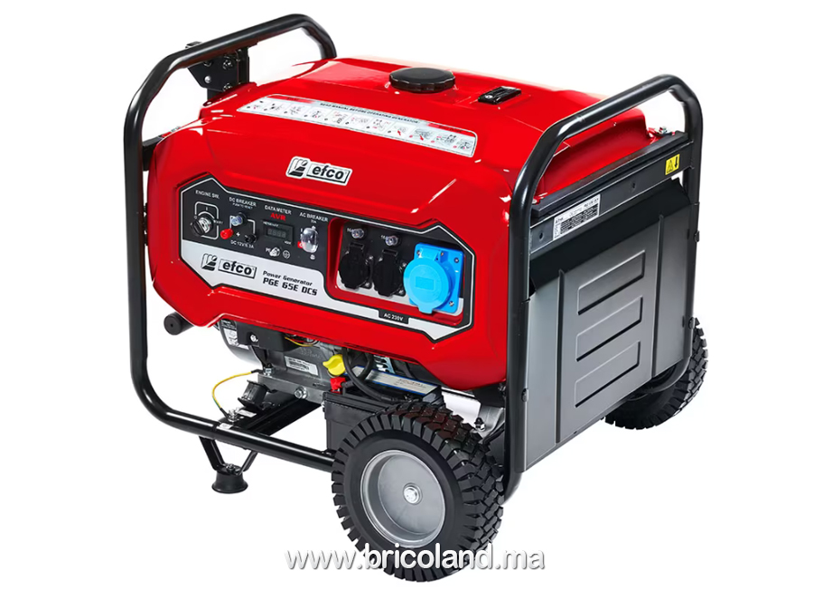 Groupe électrogène essence 5,5 kW PGE 65E DCS - EFCO-0